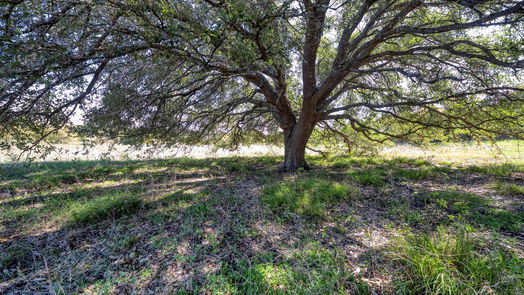 Brenham null-story, null-bed 8 Orchard Oaks Lane-idx