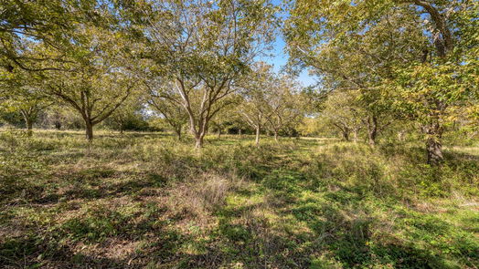 Brenham null-story, null-bed 8 Orchard Oaks Lane-idx