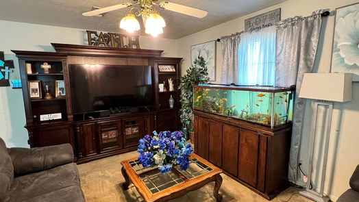 Brenham null-story, 3-bed 907 Petty Street-idx