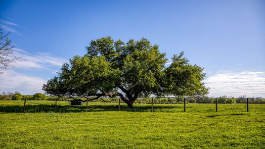 Brenham null-story, 3-bed 6902 Farm to Market 50-idx