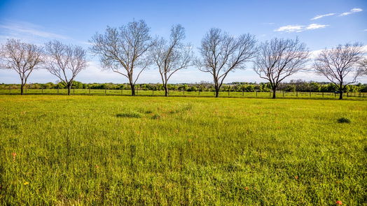 Brenham null-story, 3-bed 6902 Farm to Market 50-idx