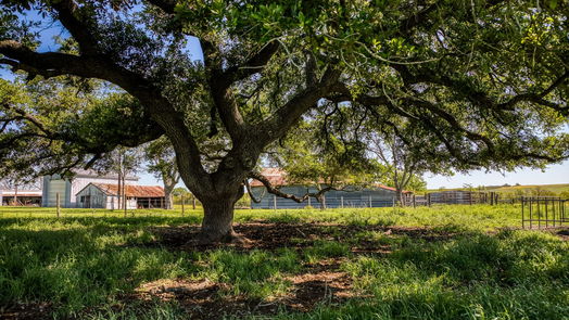 Brenham null-story, 3-bed 6902 Farm to Market 50-idx