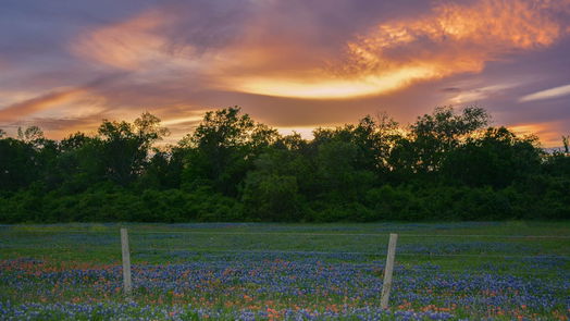 Brenham null-story, null-bed 5530 Old Chappell Hill Road-idx