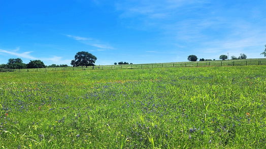 Brenham null-story, null-bed 5530 Old Chappell Hill Road-idx