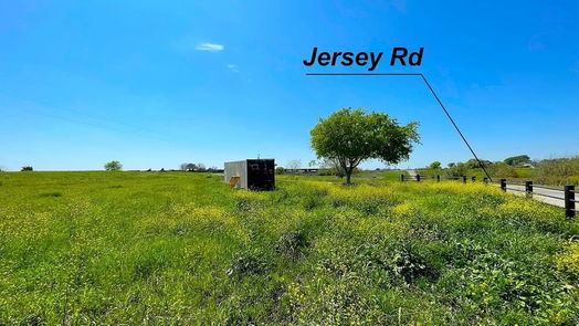 Brenham null-story, null-bed Tract 1 HWY 36 South-idx