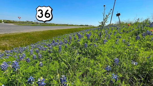 Brenham null-story, null-bed Tract 2 HWY 36 South-idx