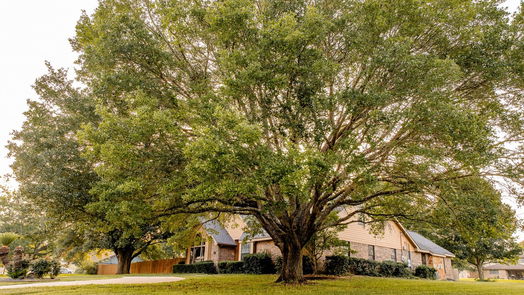 Brenham 2-story, 4-bed 3000 Creekside Drive-idx