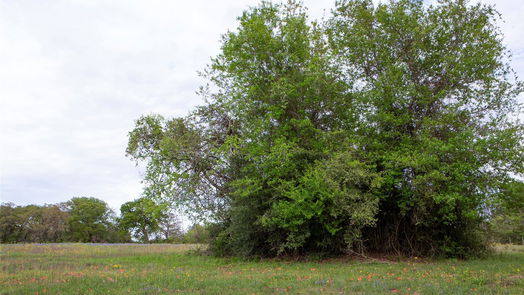 Brenham null-story, null-bed 0 Old Masonic Road, Lot 1-idx