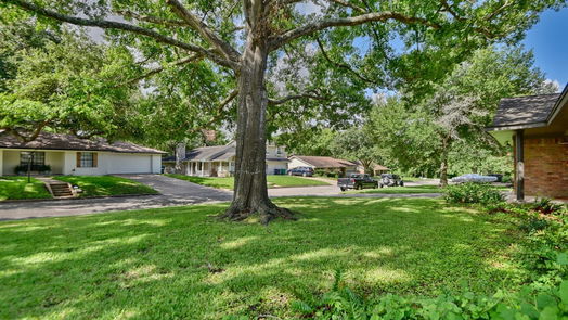 Brenham 1-story, 4-bed 1507 Leslie D Lane-idx