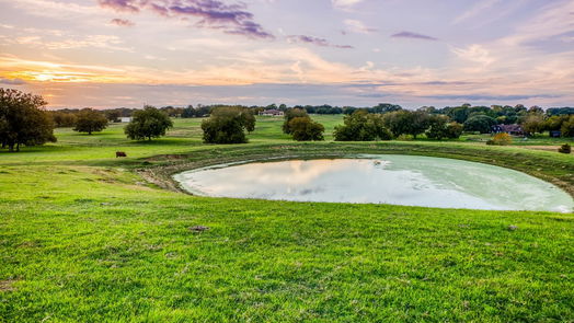 Brenham null-story, 4-bed 2900 Indian Paint Brush Road-idx