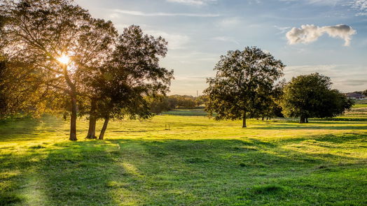Brenham null-story, 4-bed 2900 Indian Paint Brush Road-idx