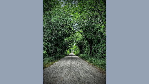 Brenham null-story, null-bed 000 Schroeder RD-idx