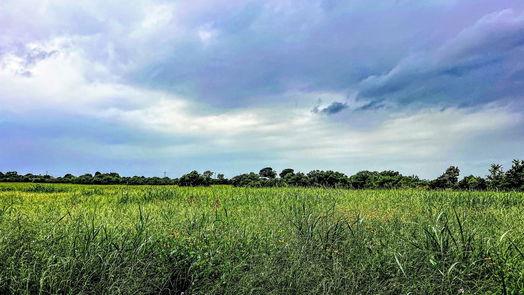 Brenham null-story, null-bed 000 Schroeder RD-idx