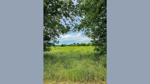 Brenham null-story, null-bed 000 Schroeder RD-idx