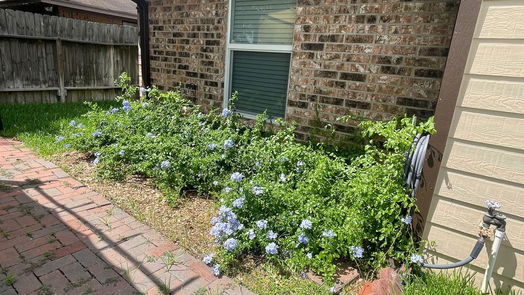 Brenham 1-story, 3-bed 1308 Allison Street-idx