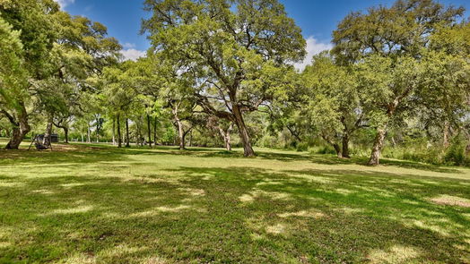 Brenham null-story, 3-bed 301 Artesian Park Lane-idx
