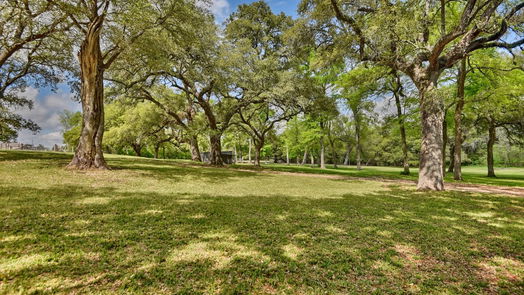 Brenham null-story, 3-bed 301 Artesian Park Lane-idx