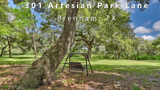 Brenham null-story, 3-bed 301 Artesian Park Lane-idx