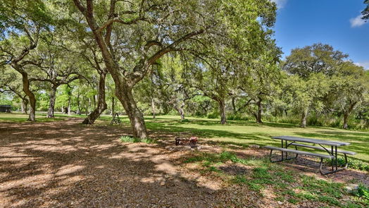 Brenham null-story, 3-bed 301 Artesian Park Lane-idx