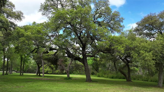 Brenham null-story, 3-bed 301 Artesian Park Lane-idx