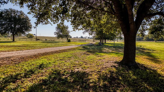 Brenham null-story, 3-bed 1709 Old Independence Road-idx