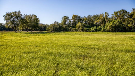 Brenham null-story, 3-bed 1709 Old Independence Road-idx