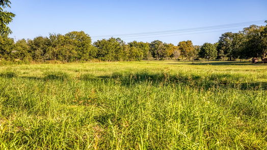 Brenham null-story, 3-bed 1709 Old Independence Road-idx