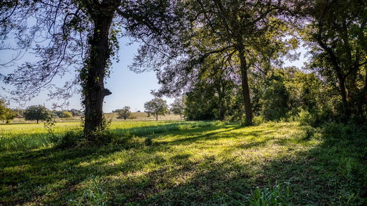 Brenham null-story, 3-bed 1709 Old Independence Road-idx