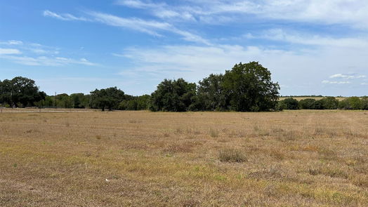 Brenham null-story, null-bed 455 Red Tip Lane-idx