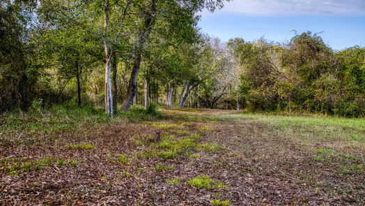 Brenham null-story, null-bed 000 Dierking Road-idx