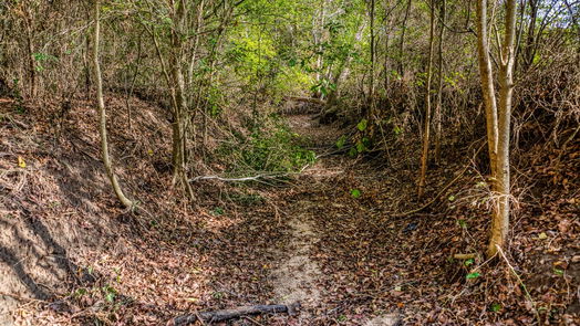 Brenham null-story, null-bed 000 Dierking Road-idx