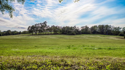 Brenham null-story, null-bed 000 Dierking Road-idx