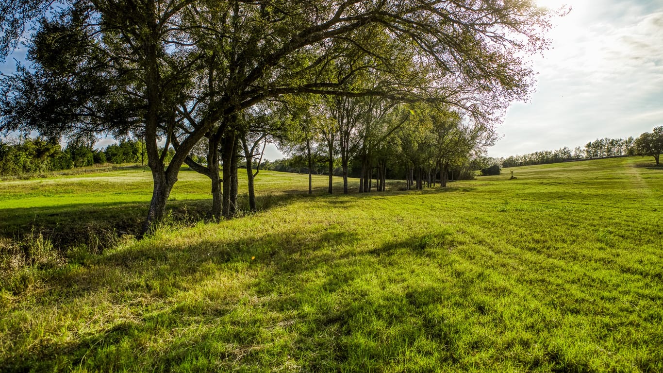 Brenham null-story, null-bed 000 Dierking Road-idx