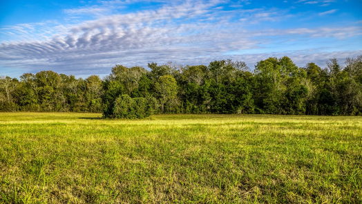 Brenham null-story, null-bed 000 Dierking Road-idx