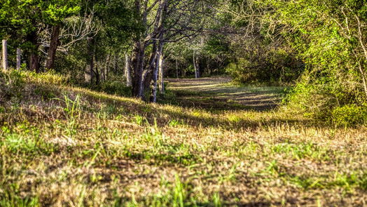 Brenham null-story, null-bed 000 Dierking Road-idx