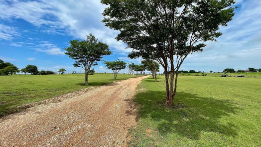 Burton null-story, 3-bed 2953 Fm 2679 Road-idx