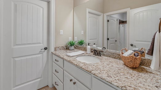 College Station 2-story, 4-bed 17463 Saddle Creek Drive-idx
