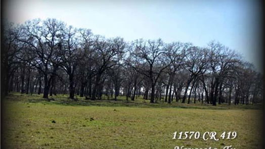 Navasota null-story, null-bed 11568 County Road 419-idx