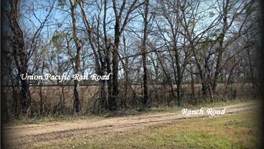 Navasota null-story, null-bed 11568 County Road 419-idx