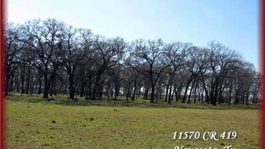 Navasota null-story, null-bed 11568 County Road 419-idx