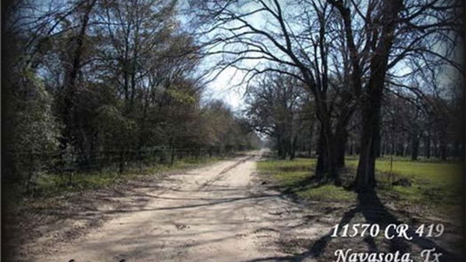 Navasota null-story, null-bed 11568 County Road 419-idx