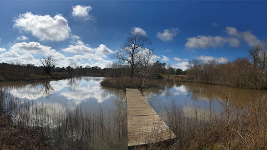 Navasota null-story, null-bed 0 County Road 208-idx