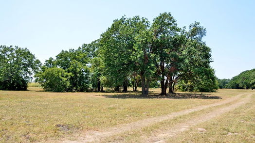 Navasota 1-story, 4-bed TBD 90 FM 1227-idx