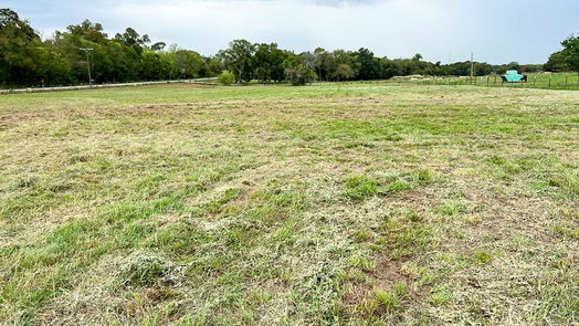 Navasota null-story, null-bed Lot 4 CR 319-idx