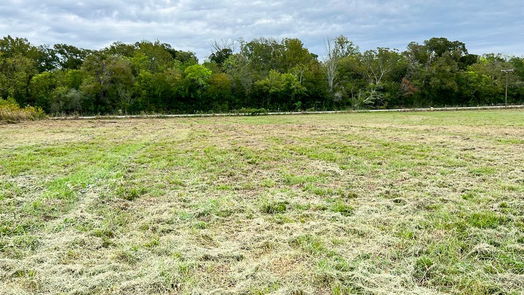 Navasota null-story, null-bed Lot 4 CR 319-idx