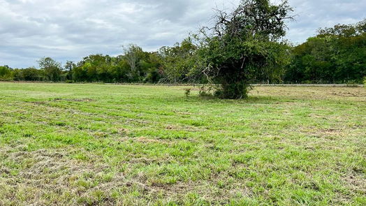 Navasota null-story, null-bed Lot 4 CR 319-idx