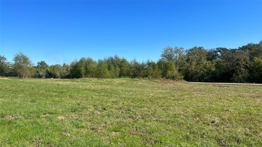 Navasota null-story, null-bed Lot 2 CR 319-idx