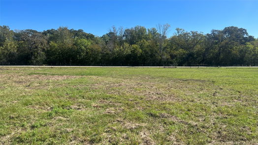 Navasota null-story, null-bed Lot 3 CR 319-idx