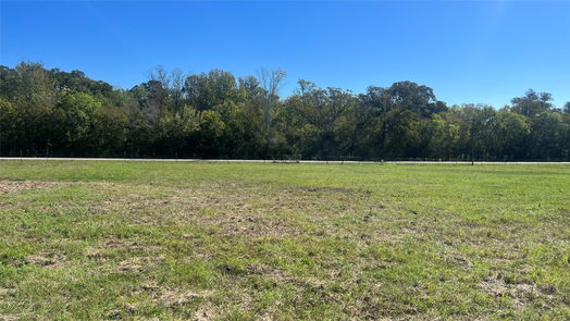 Navasota null-story, null-bed Lot 3 CR 319-idx