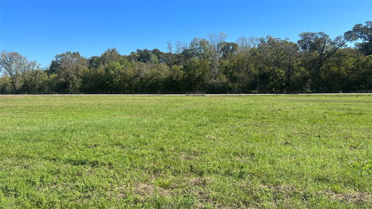 Navasota null-story, null-bed Lot 3 CR 319-idx